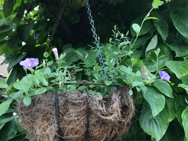 rblog-20180624180303-06.jpg