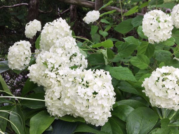 rblog-20170622195547-09.jpg