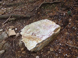 15美しい石。これも比丘尼岩の名残？.jpg