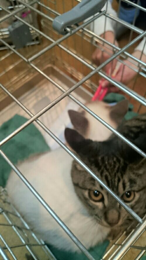 rblog-20170123201405-01.jpg