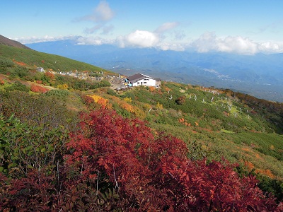 DSCN6022s.jpg