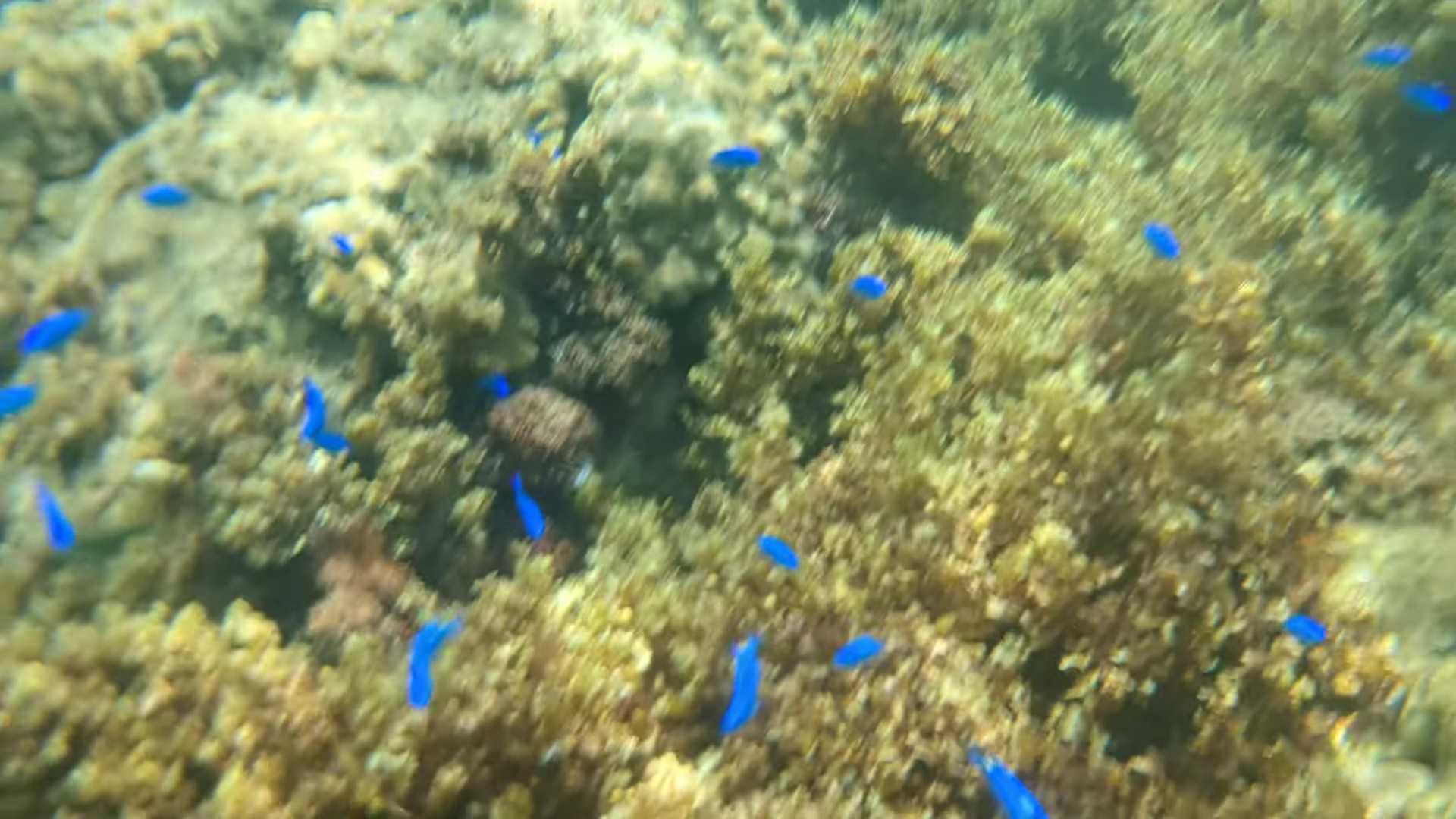 石垣島　米原ビーチ