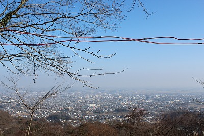 IMG_9812.jpg