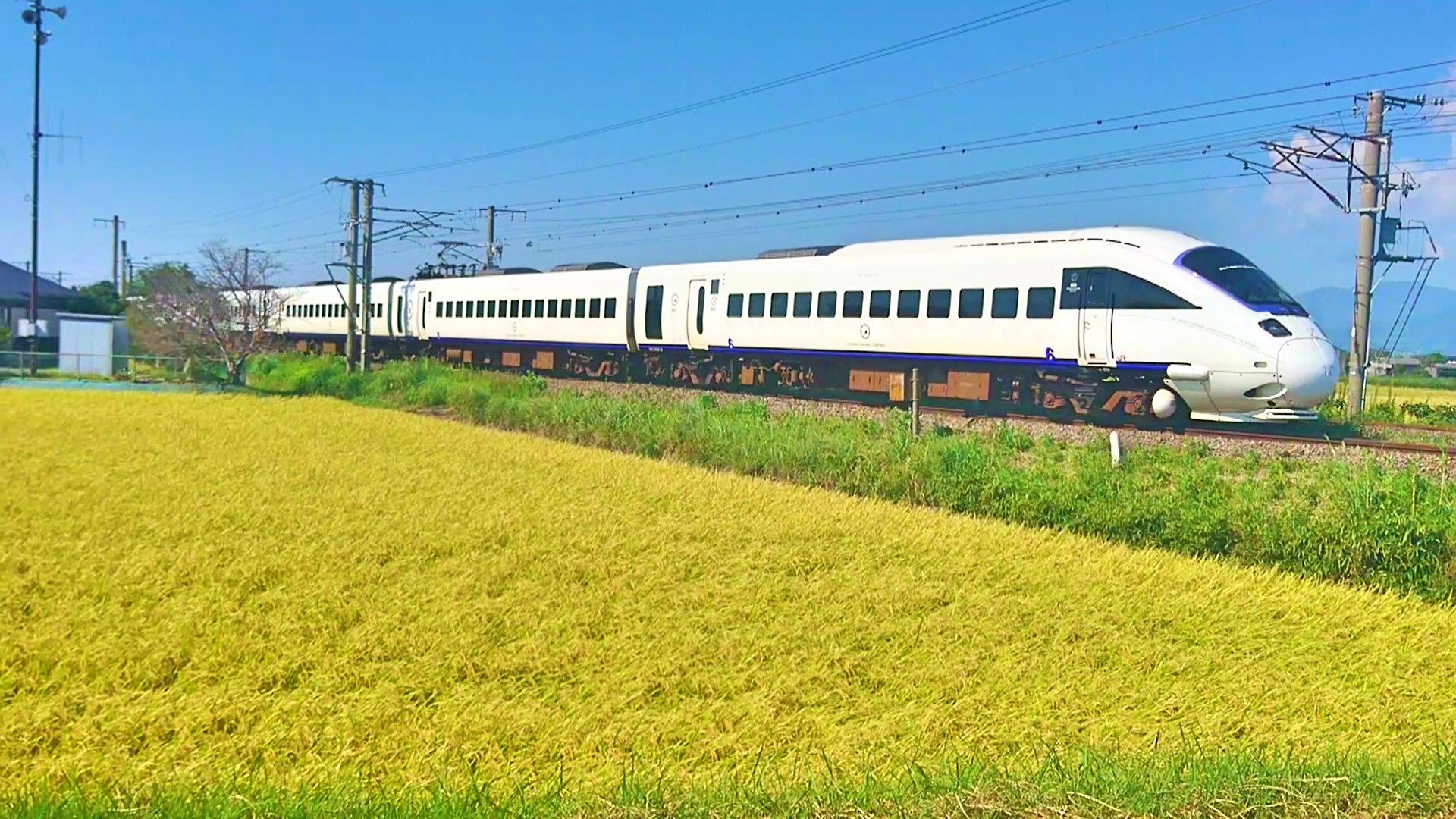 885系 「たま（宮崎応援）ラッピング仕様　ＳＭ-8編成 6両 白色室内灯入り 博多駅で885系SM8編成（宮崎応援ラッピング）を激写！【かもめ25