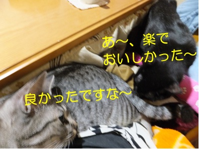 20121107_4.jpg