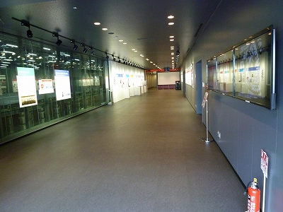展示