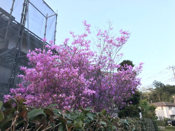 rblog-20180408182201-07.jpg