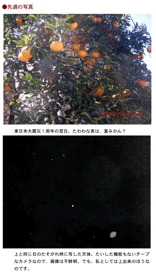 2012.03.18-3.jpg
