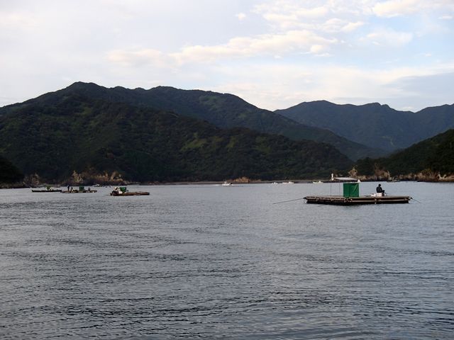 PA060039.jpg