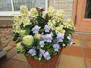 IMG_4549ss.jpg