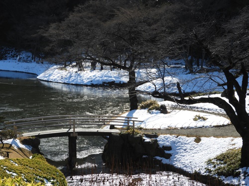 小石川後楽園にて