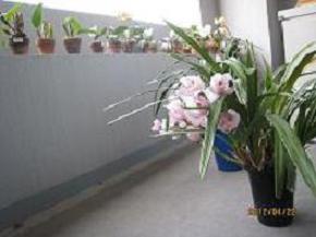 IMG_1495.JPG