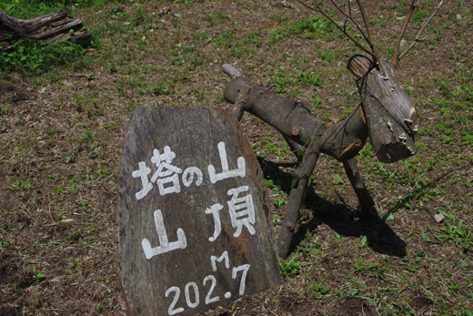 IMGP1504.jpg
