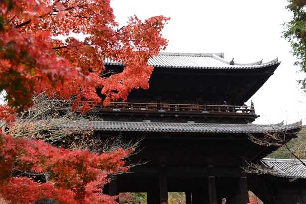 京都 南禅寺の紅葉 年11月日 ねこねこ日記 楽天ブログ