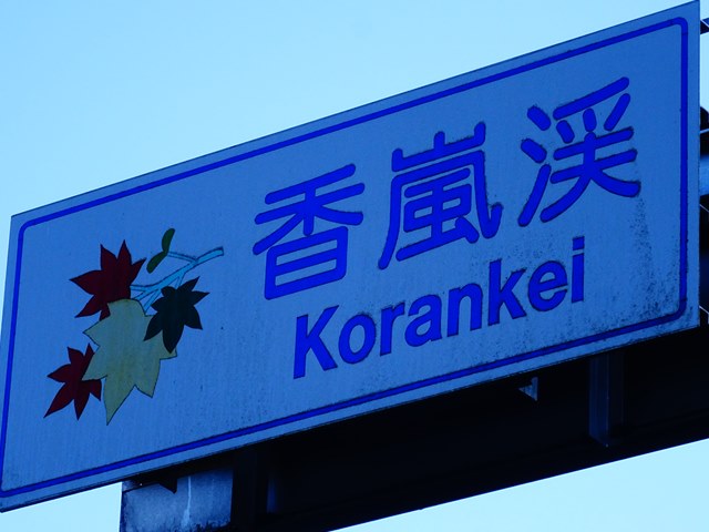 DSC08126_R.JPG