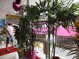 DSCF3780.jpg