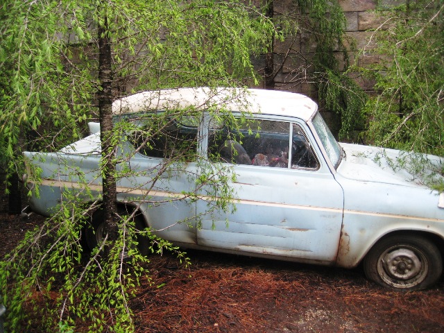 20140810 020.JPG