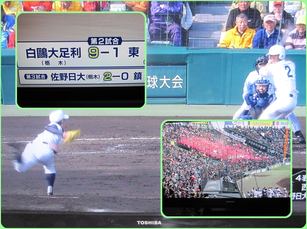 選抜.jpg
