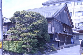 DSC_2105.jpg