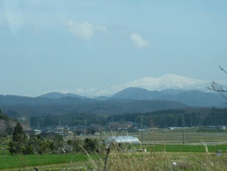 DSCF8067-450.jpg