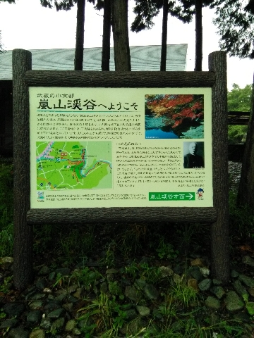 WP_20160428_15_48_56_Pro.jpg