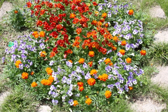 20160529001.JPG