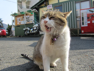 0110_8257.jpg
