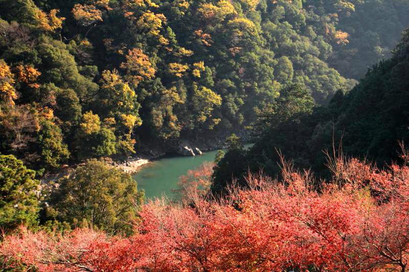 千光寺_007保津川.jpg