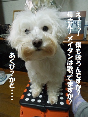 hatchan