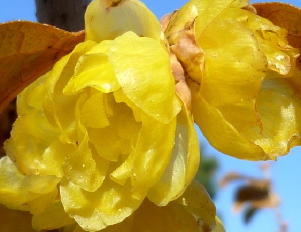 P1070405-001.JPG