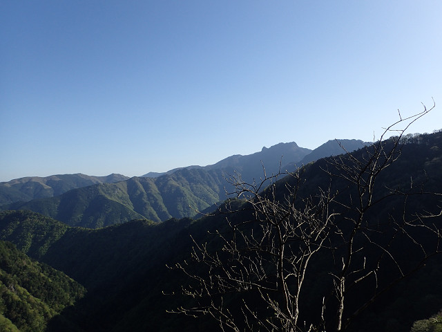 resize0053.jpg