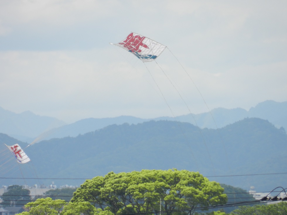 座間の大凧