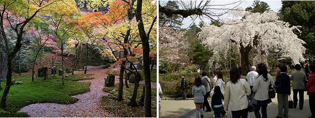 s-光明禅寺・円山公園.jpg