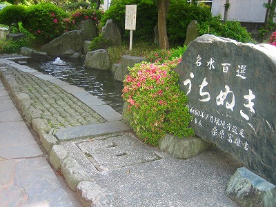 身延山・八ヶ岳クラブ 009.jpg