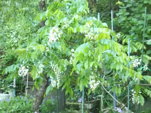 rblog-20180416093709-02.jpg