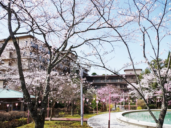 千本桜　辻のや花乃庄