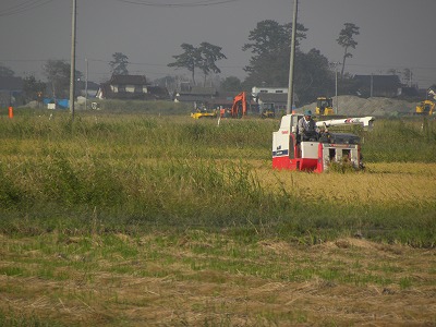 DSCN0178.jpg