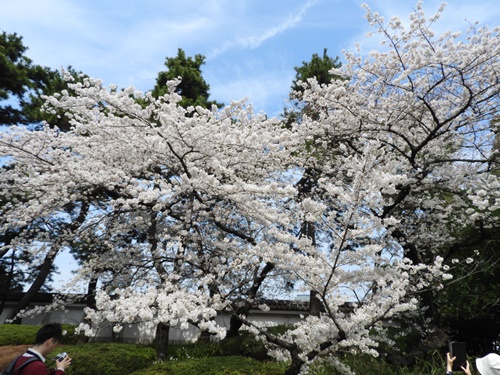 皇居東御苑