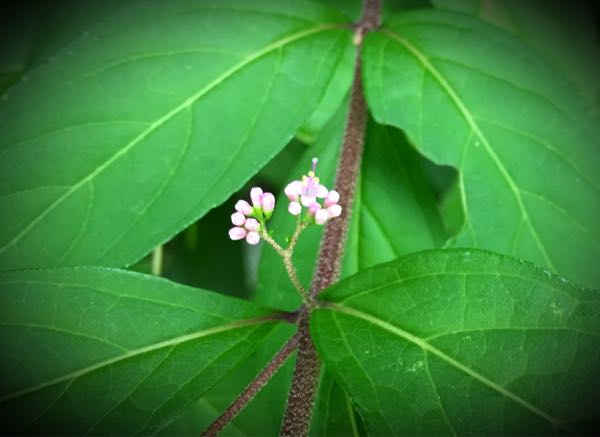 rblog-20160630184836-06.jpg
