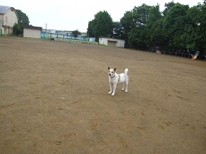IMG_8835.JPG