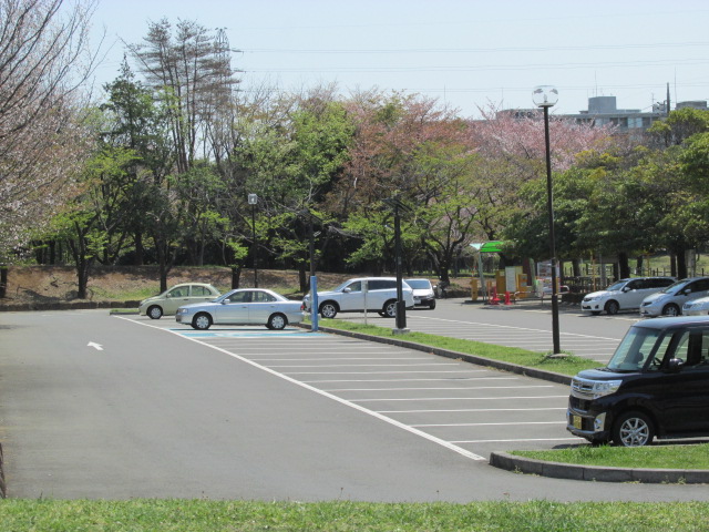 柄ジーパン＆和光樹林公園 251.JPG