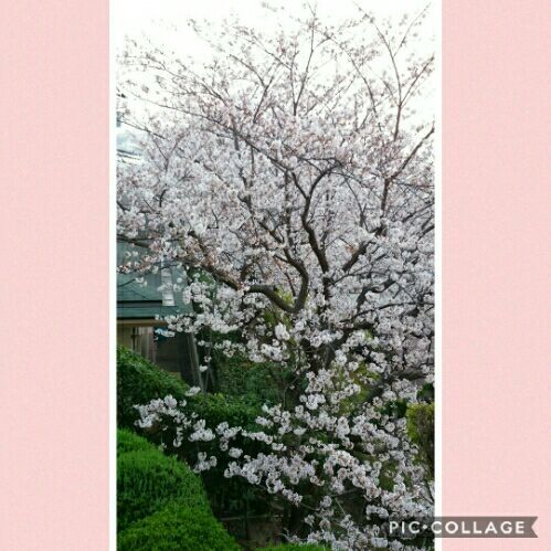 rblog-20180328214419-01.jpg