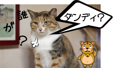 IMG_0506.png