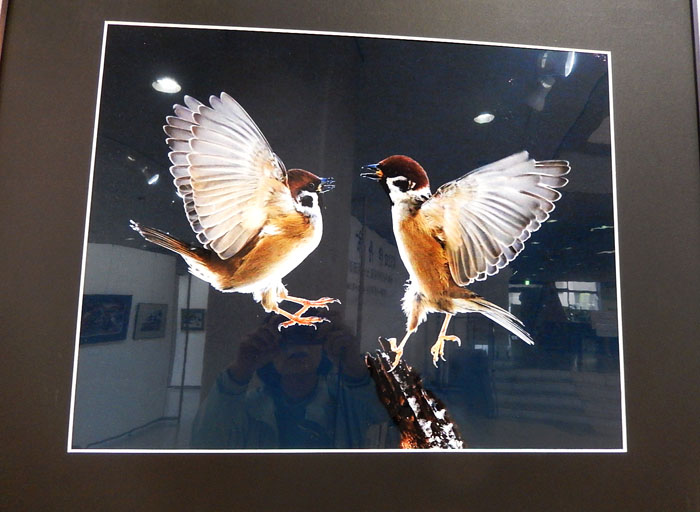 市展６