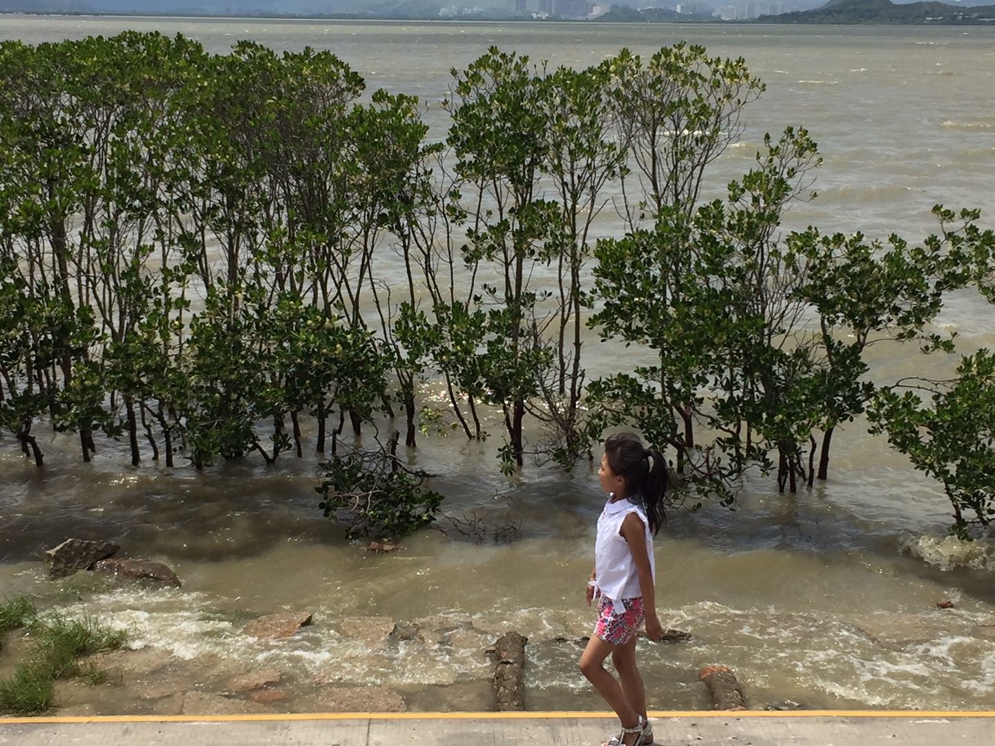 海は汚いけど なんじゃこれ中国 楽天ブログ