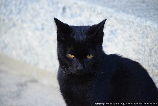 別れた後の男性の気持ちは？
