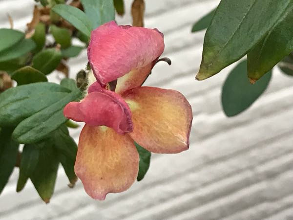rblog-20180429182455-02.jpg