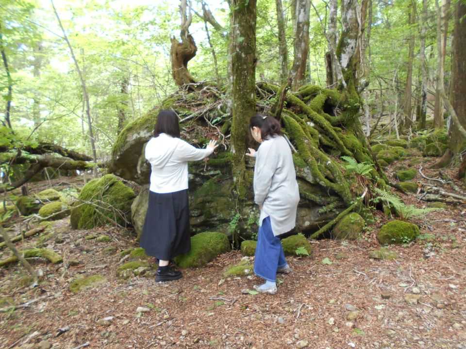 茶臼山のパワースポット「茶臼山登山道」 自称「茶臼山の管理人エルくま」の「徒然雑記」 楽天ブログ