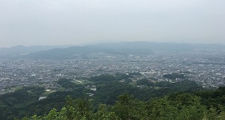 IMG_1428.jpg