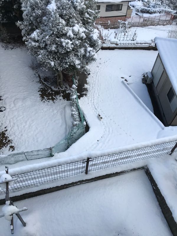rblog-20180117125951-01.jpg